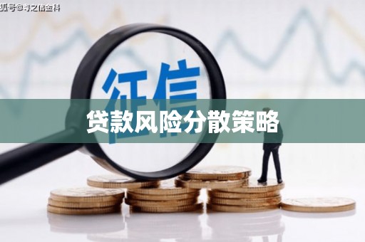 岷县贷款风险分散策略