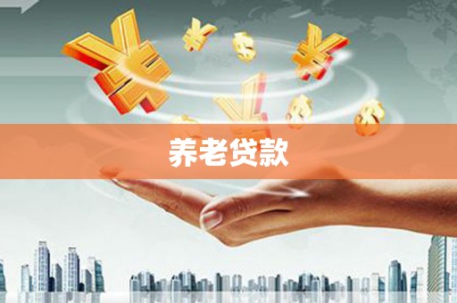岷县养老贷款