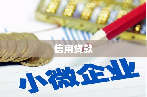 岷县信用贷款
