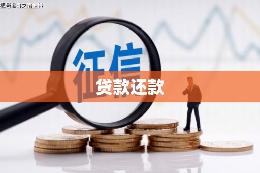 岷县贷款还款