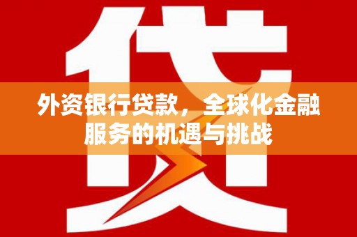 岷县外资银行贷款，全球化金融服务的机遇与挑战