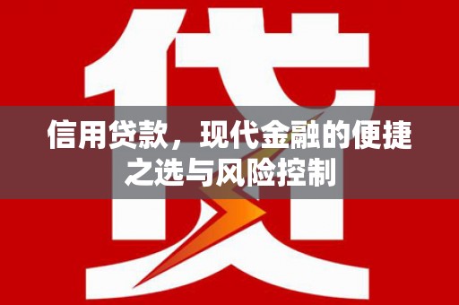 岷县信用贷款，现代金融的便捷之选与风险控制