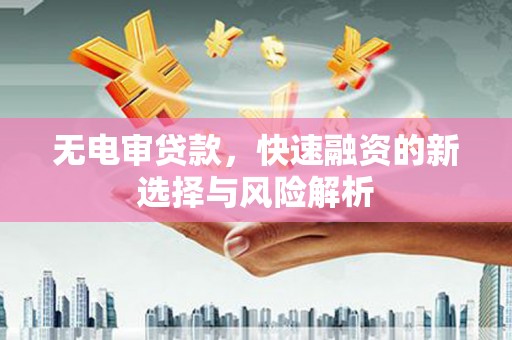 岷县无电审贷款，快速融资的新选择与风险解析