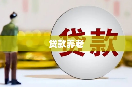 岷县贷款养老