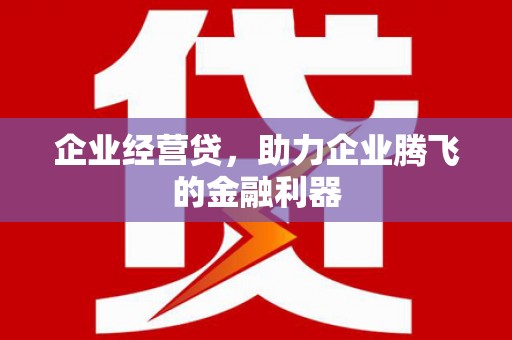 岷县企业经营贷，助力企业腾飞的金融利器