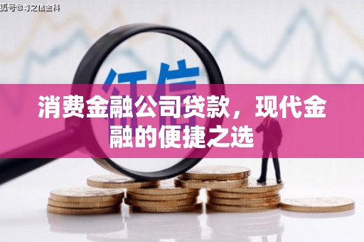 岷县消费金融公司贷款，现代金融的便捷之选