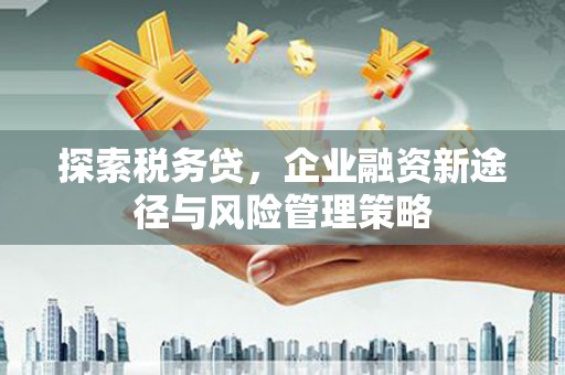 岷县探索税务贷，企业融资新途径与风险管理策略