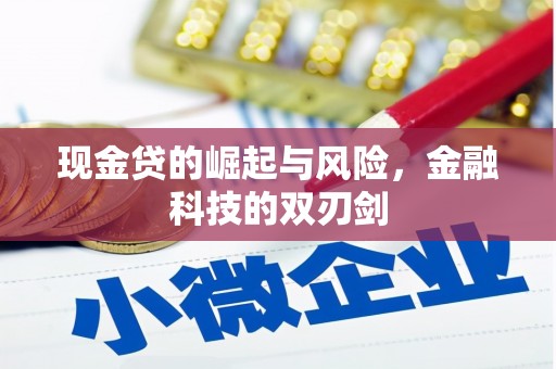 岷县现金贷的崛起与风险，金融科技的双刃剑