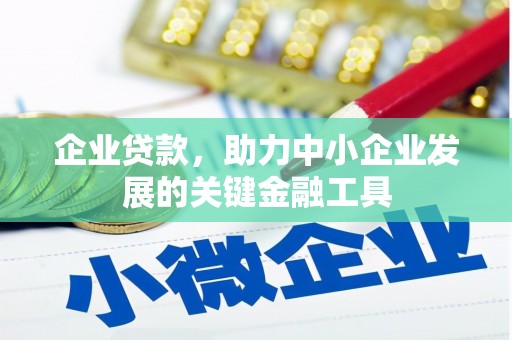 岷县企业贷款，助力中小企业发展的关键金融工具
