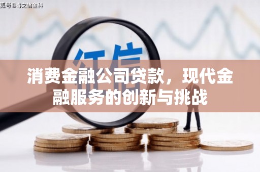 岷县消费金融公司贷款，现代金融服务的创新与挑战