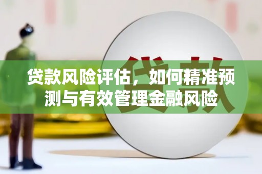 岷县贷款风险评估，如何精准预测与有效管理金融风险