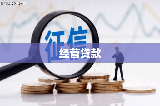 岷县经营贷款