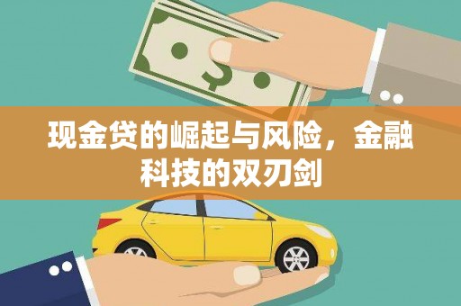岷县现金贷的崛起与风险，金融科技的双刃剑