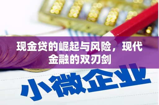 岷县现金贷的崛起与风险，现代金融的双刃剑