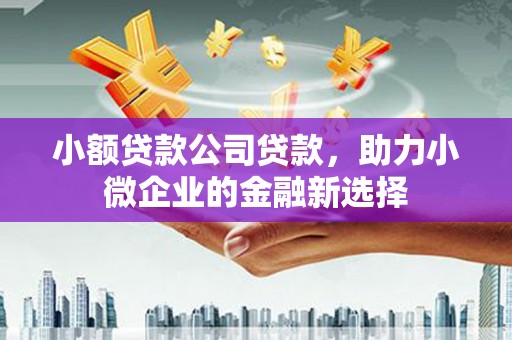 岷县小额贷款公司贷款，助力小微企业的金融新选择