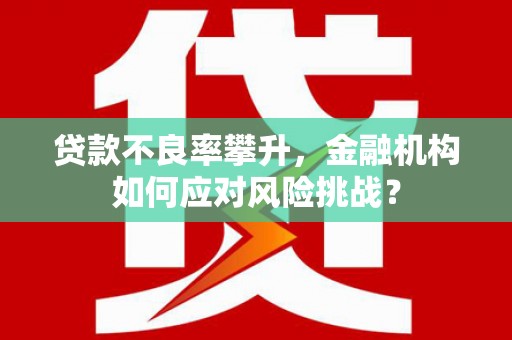 岷县贷款不良率攀升，金融机构如何应对风险挑战？