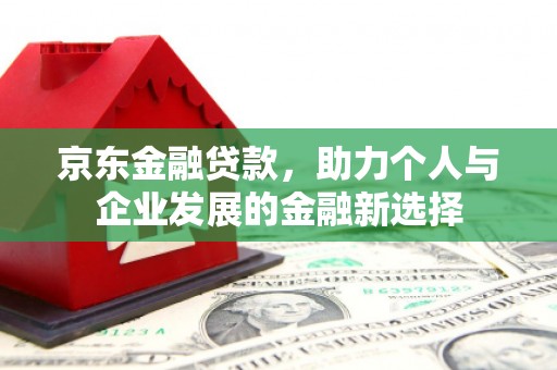 岷县京东金融贷款，助力个人与企业发展的金融新选择