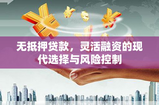岷县无抵押贷款，灵活融资的现代选择与风险控制