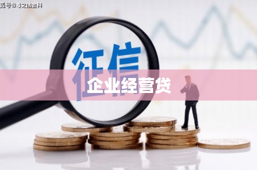岷县企业经营贷