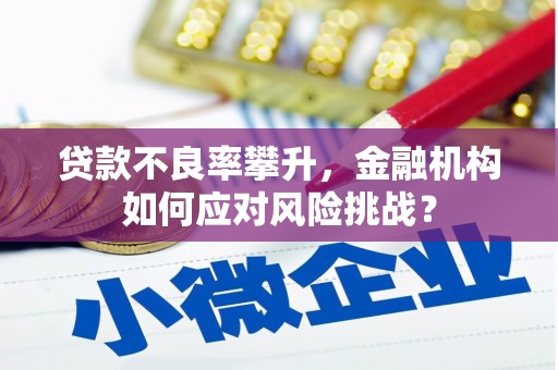 岷县贷款不良率攀升，金融机构如何应对风险挑战？