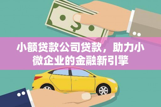 岷县小额贷款公司贷款，助力小微企业的金融新引擎