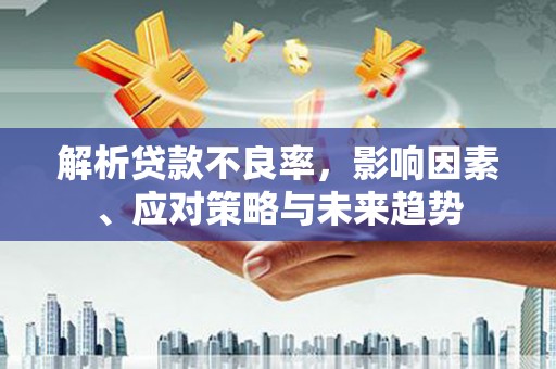 岷县解析贷款不良率，影响因素、应对策略与未来趋势