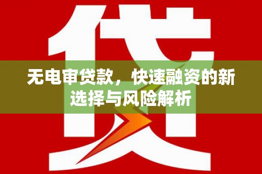 岷县无电审贷款，快速融资的新选择与风险解析
