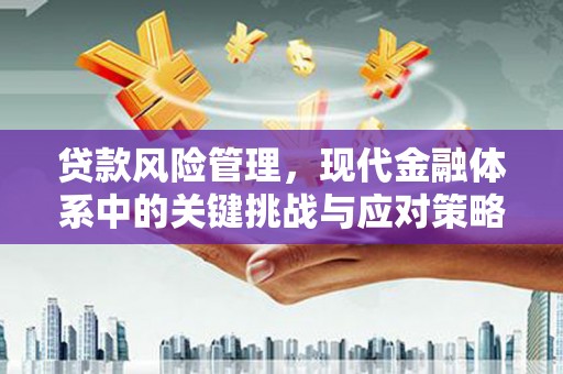 岷县贷款风险管理，现代金融体系中的关键挑战与应对策略