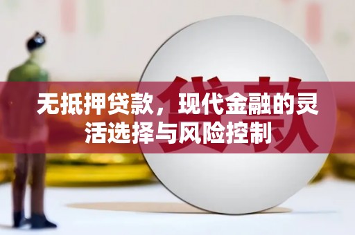 岷县无抵押贷款，现代金融的灵活选择与风险控制
