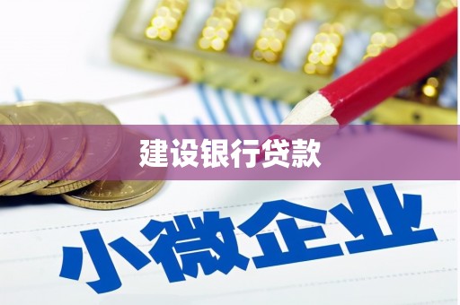 岷县建设银行贷款