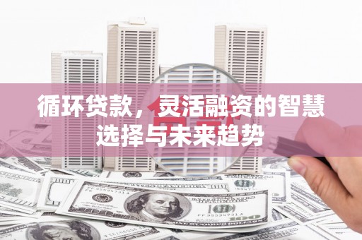 岷县循环贷款，灵活融资的智慧选择与未来趋势