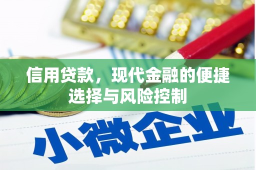 岷县信用贷款，现代金融的便捷选择与风险控制
