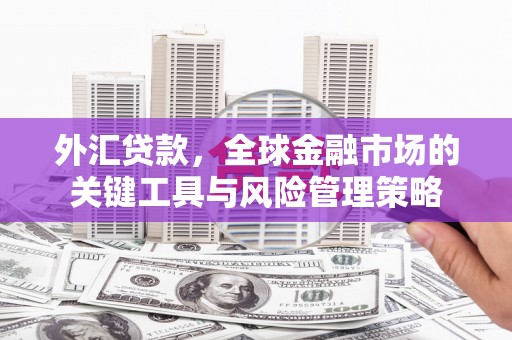 岷县外汇贷款，全球金融市场的关键工具与风险管理策略