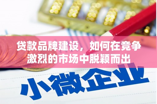 岷县贷款品牌建设，如何在竞争激烈的市场中脱颖而出