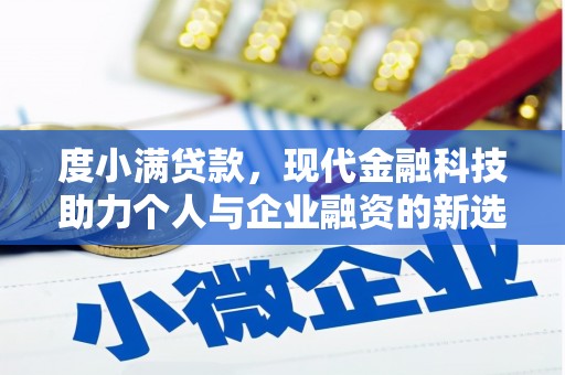 岷县度小满贷款，现代金融科技助力个人与企业融资的新选择