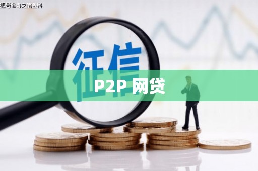 岷县P2P 网贷