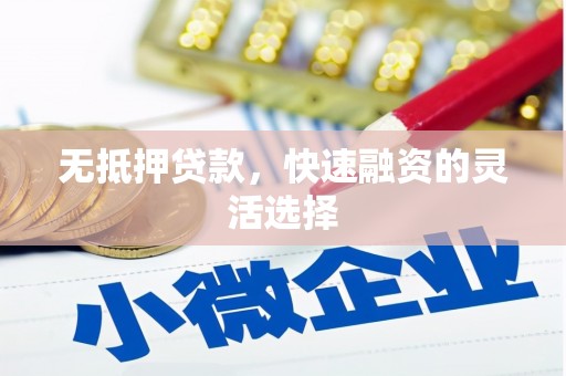 岷县无抵押贷款，快速融资的灵活选择