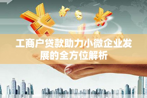 岷县工商户贷款助力小微企业发展的全方位解析