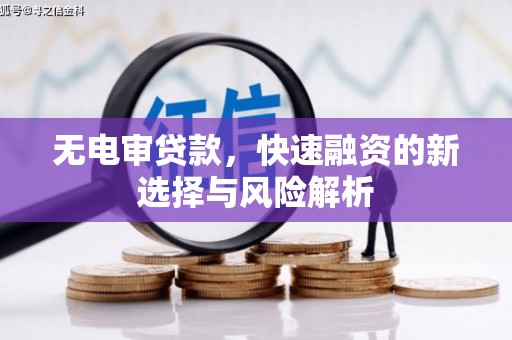 岷县无电审贷款，快速融资的新选择与风险解析
