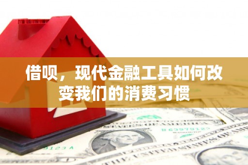 岷县借呗，现代金融工具如何改变我们的消费习惯