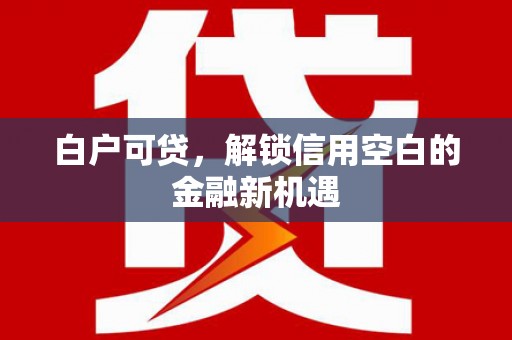 岷县白户可贷，解锁信用空白的金融新机遇