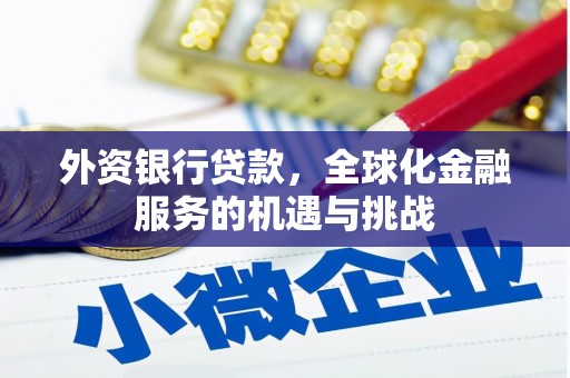 岷县外资银行贷款，全球化金融服务的机遇与挑战