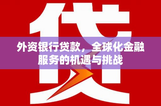 岷县外资银行贷款，全球化金融服务的机遇与挑战