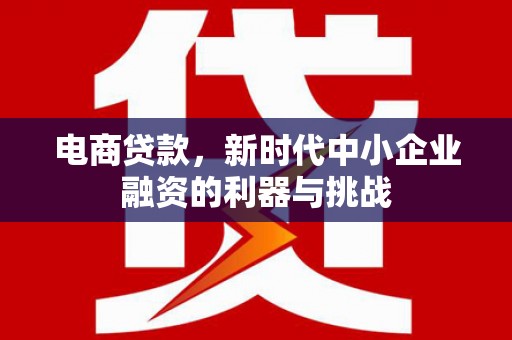 岷县电商贷款，新时代中小企业融资的利器与挑战