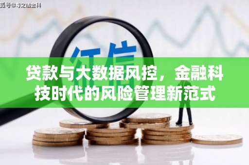 岷县贷款与大数据风控，金融科技时代的风险管理新范式