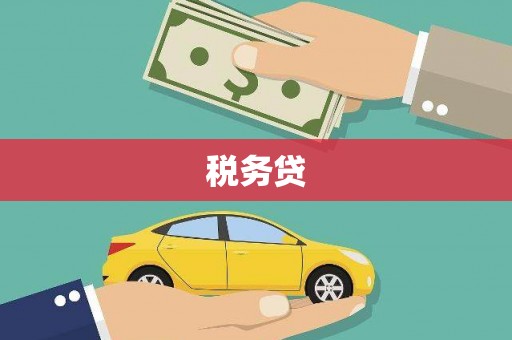 岷县税务贷