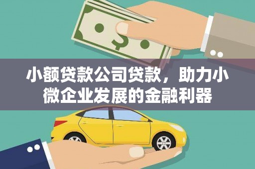 岷县小额贷款公司贷款，助力小微企业发展的金融利器