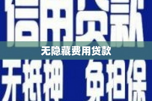 岷县无隐藏费用贷款