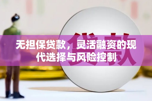 岷县无担保贷款，灵活融资的现代选择与风险控制