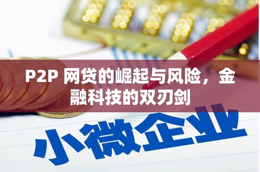 岷县P2P 网贷的崛起与风险，金融科技的双刃剑
